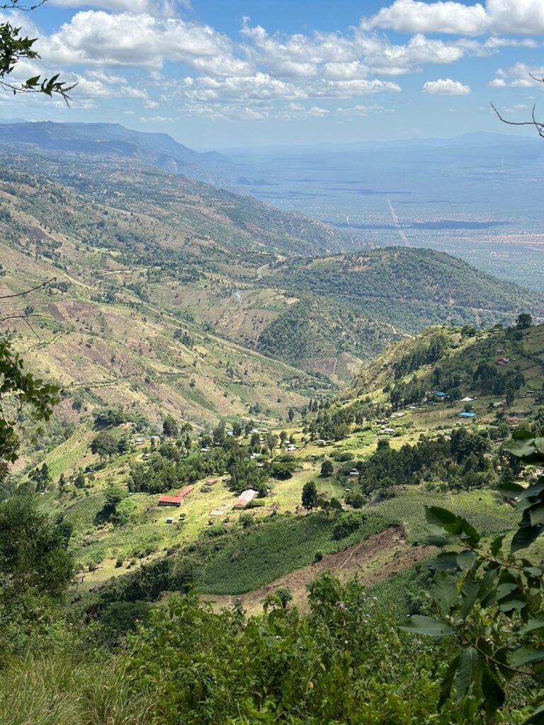 Vallée de Rift
